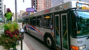 Image of Central_Ohio_Transit_Authority_buses