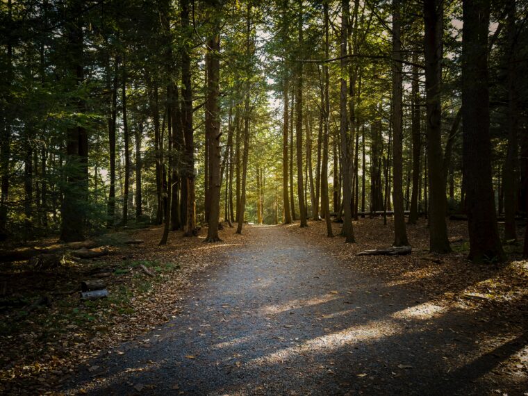 State park